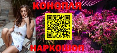 spice Усть-Илимск