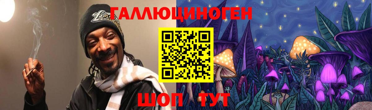 Галлюциногенные грибы Cubensis Богданович